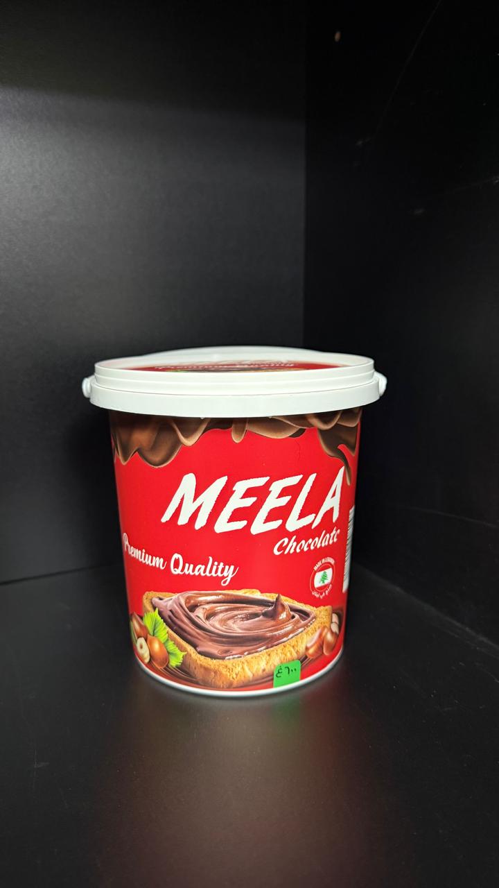 Sealed Food Pail