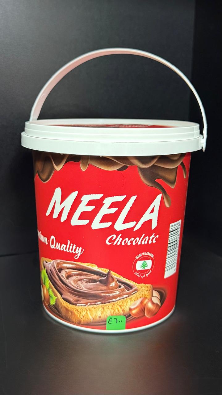 Small Handled Pail