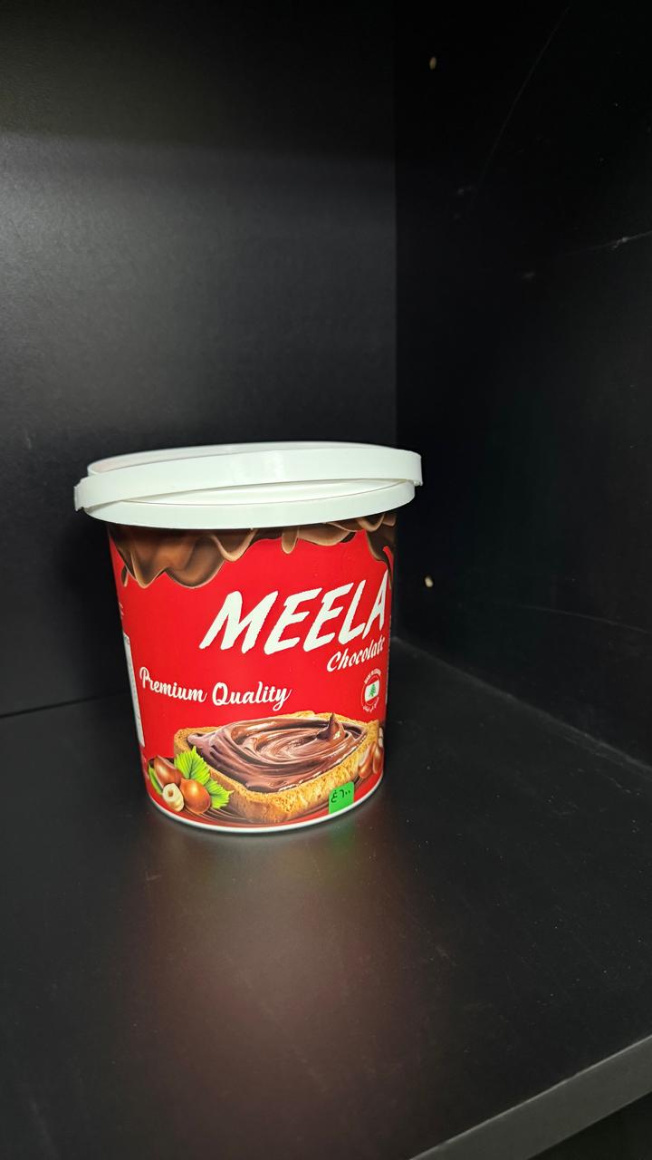 Large Handled Pail