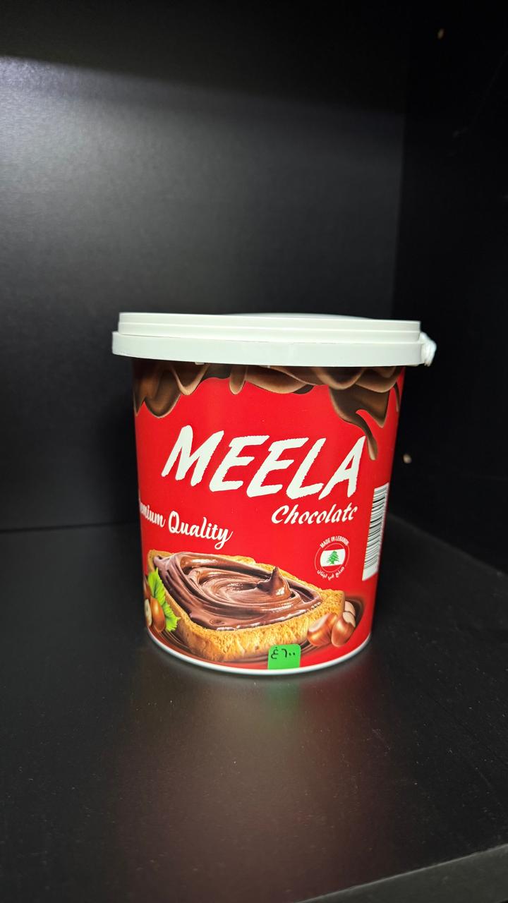 Family-Size Food Pail
